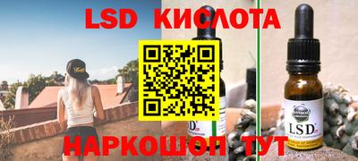 стафф Кандалакша