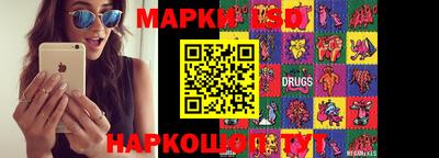 стафф Кандалакша