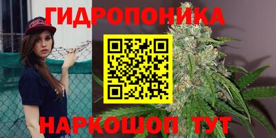 стафф Кандалакша