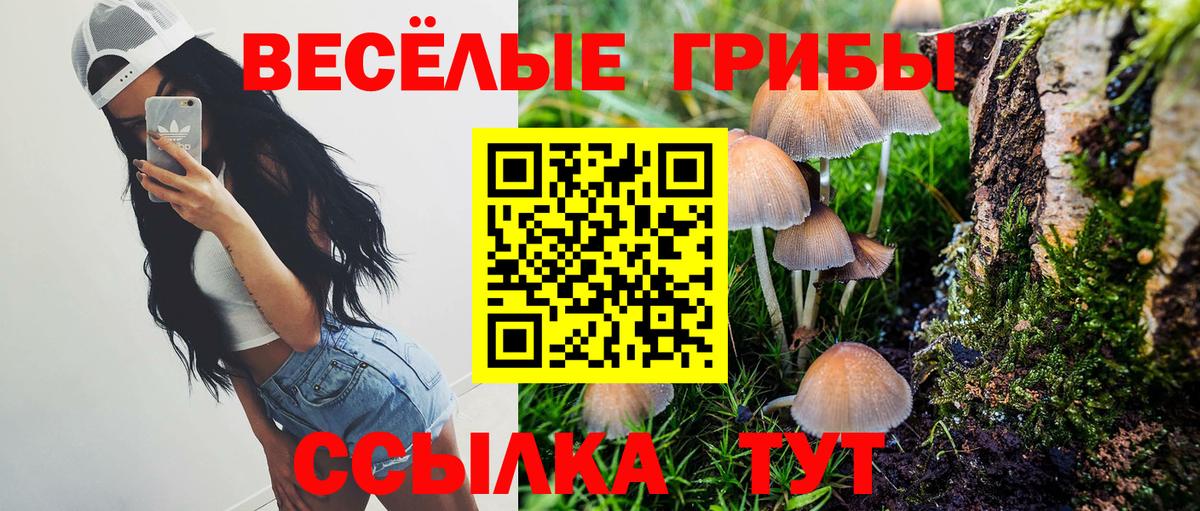 Псилоцибиновые грибы GOLDEN TEACHER  Вход с VPN  где можно купить наркотик  Лениногорск 