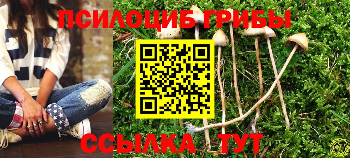 Псилоцибиновые грибы мицелий Лениногорск